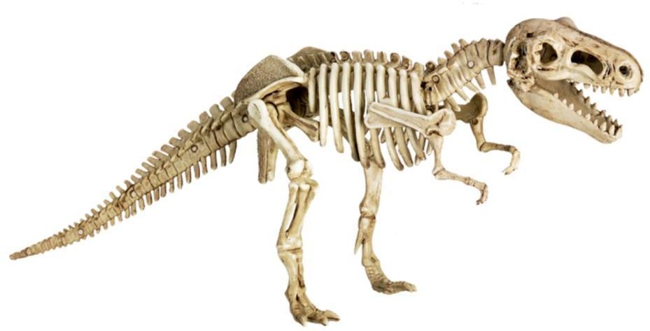 Levně Spiegelburg Excavation kit T-Rex T-Rex World