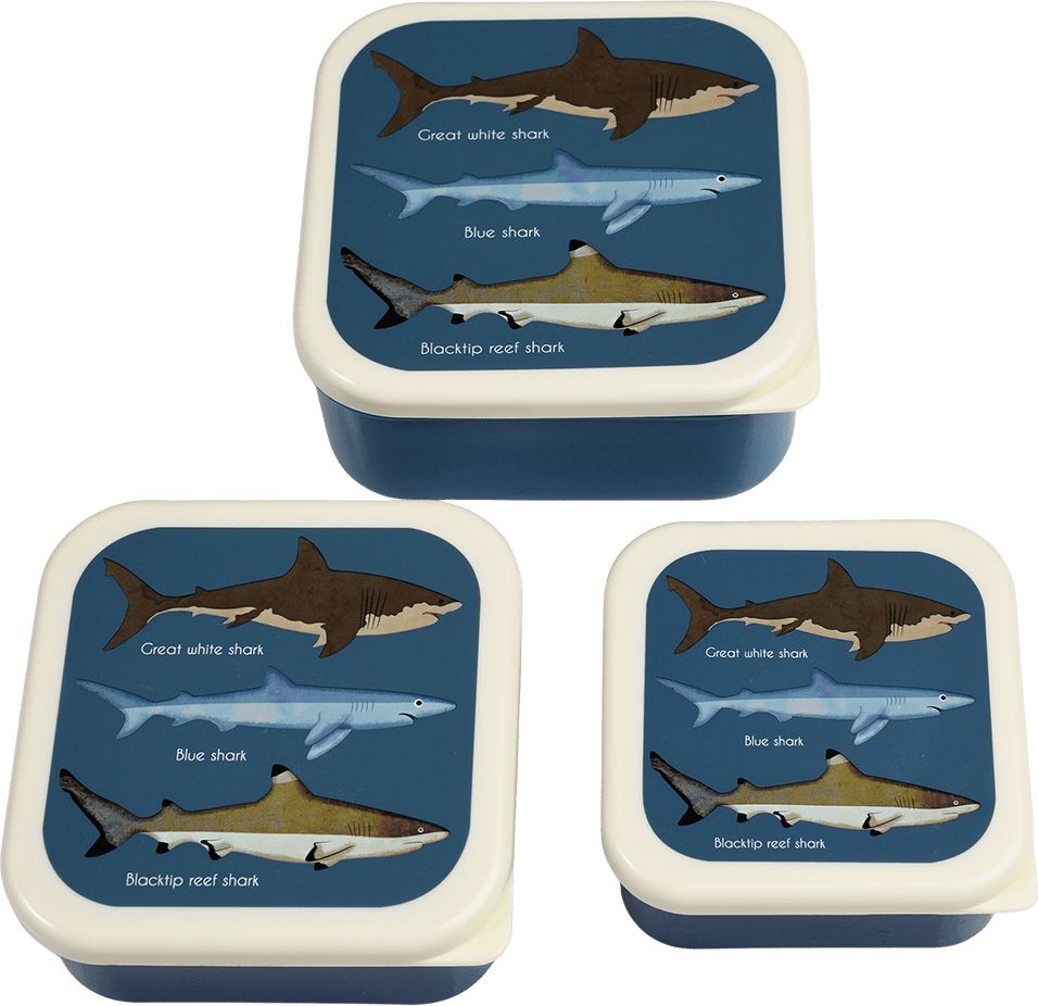 Rex London Sharsk snack boxes (Set of 3)