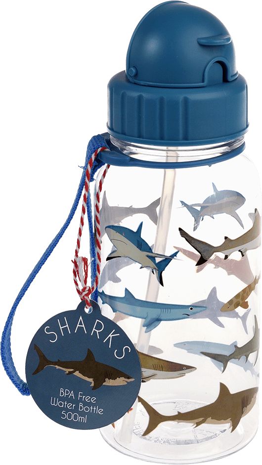 Rex London Sharks Kids water bottle