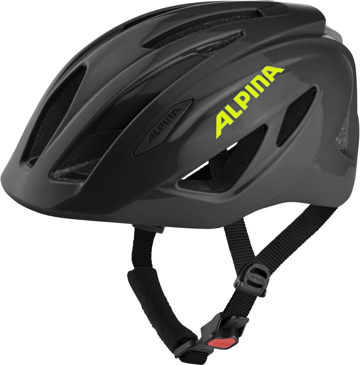 Alpina Pico Flash - black-neon gloss 50-55