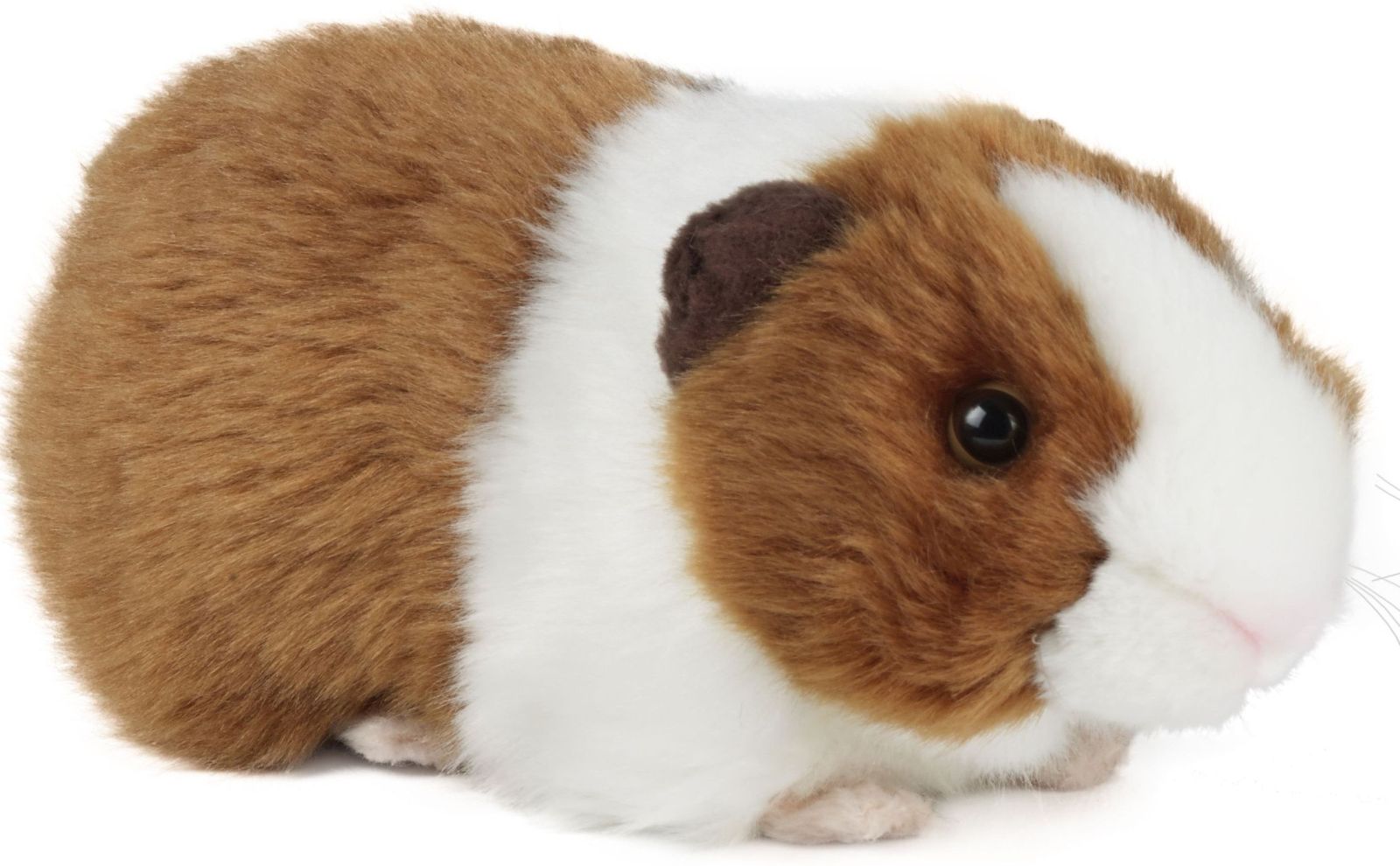 Levně Living Nature Brown Guinea Pig with Sound