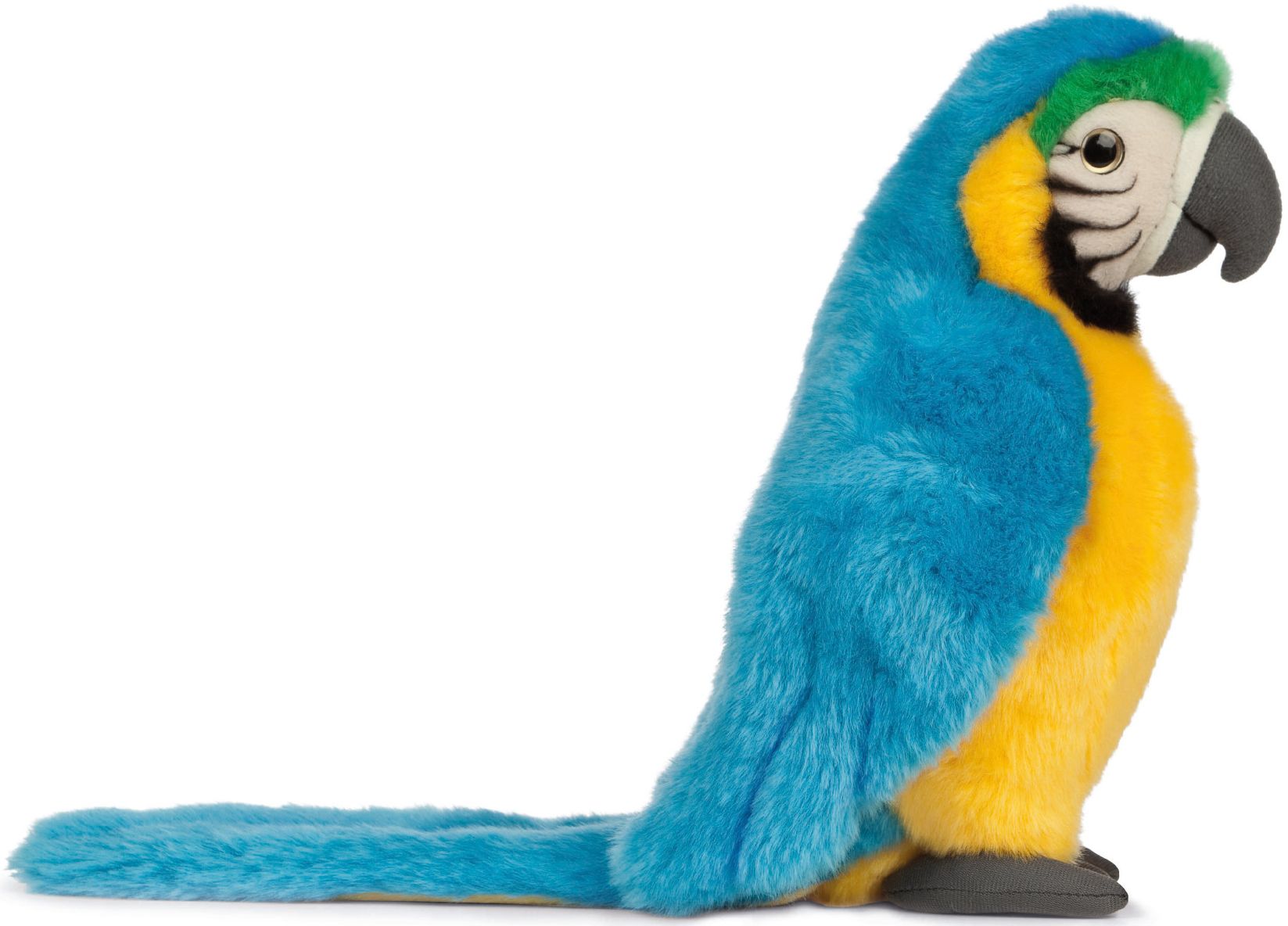 Levně Living Nature Macaw – Blue