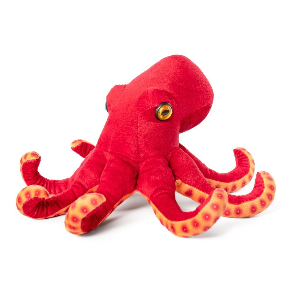 Levně Living Nature Common Octopus