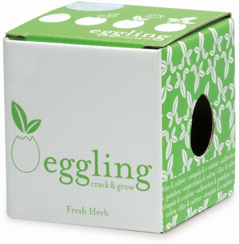 Levně Noted sada na pěstování vajíčko Eggling - Bazalka