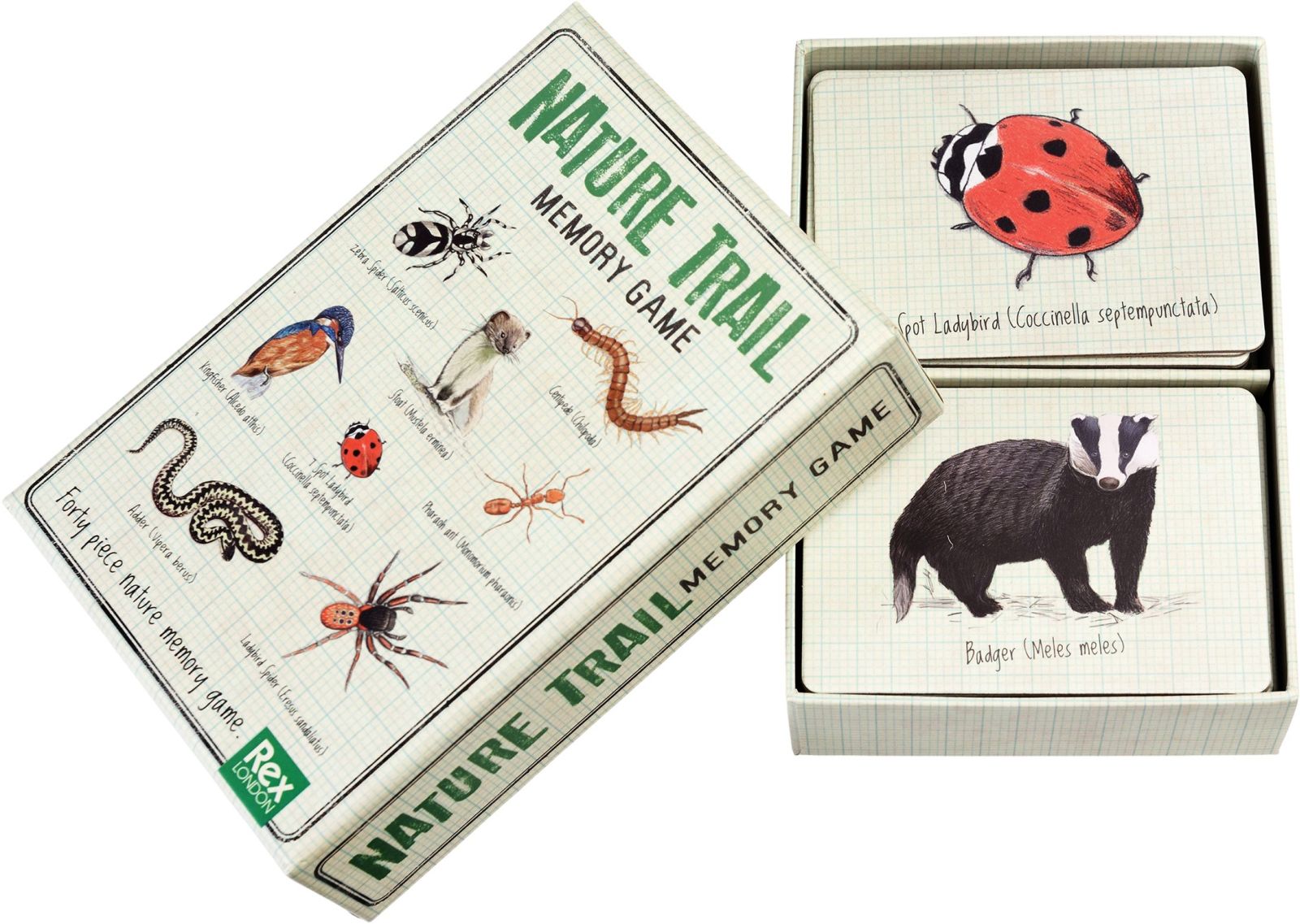 Levně Rex London Memory game (40 pieces) - Nature Trail