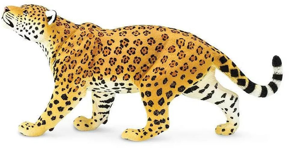 Levně Safari Jaguar
