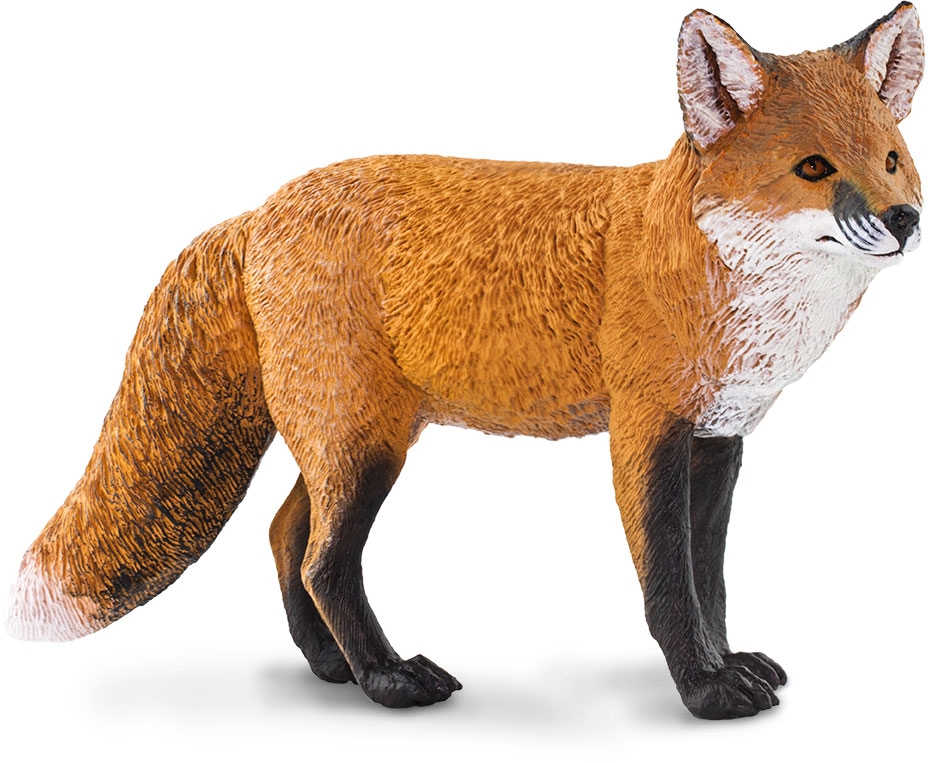 Safari Red Fox *