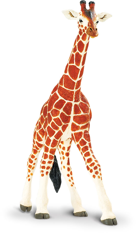Levně Safari Reticulated Giraffe