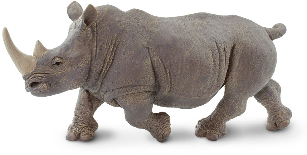 Safari White Rhino