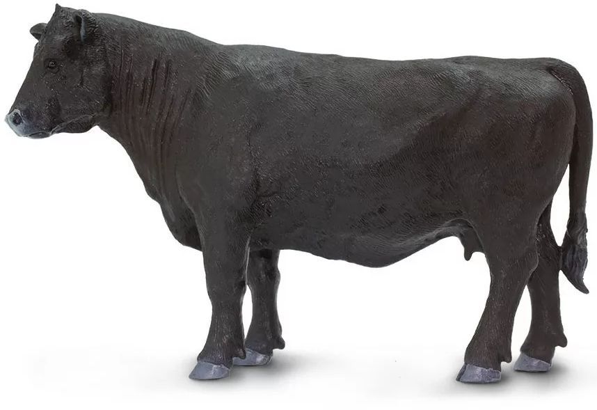 Safari Angus Cow