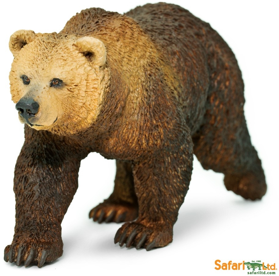 Safari Grizzly Bear