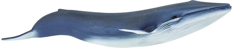 Levně Safari Blue Whale
