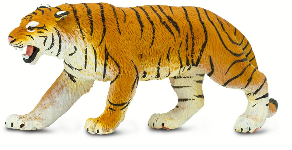 Safari Bengal Tiger