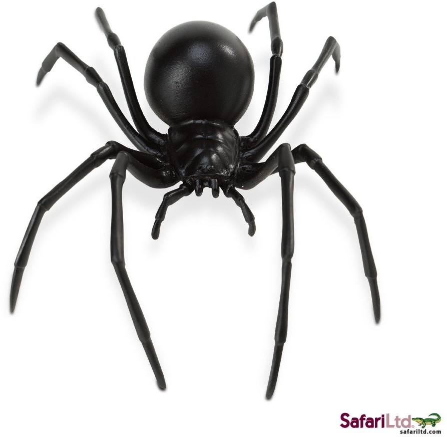 Safari Black Widow Spider