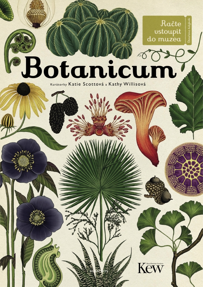 Levně Botanicum - Jenny Broomová